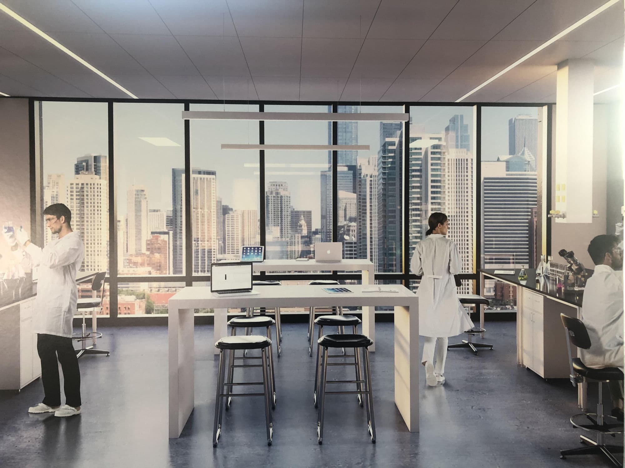 Credence scientists at work in a modern laboratory overlooking the city